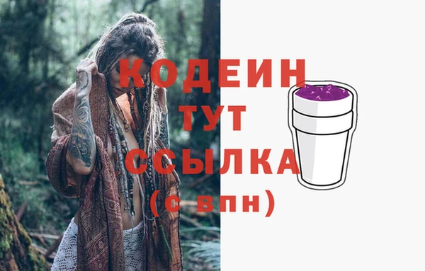 винт Абаза