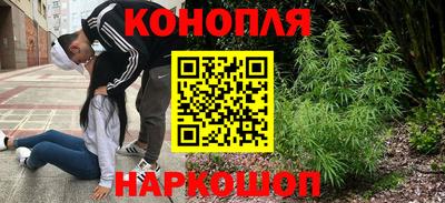 крисы Михайловск