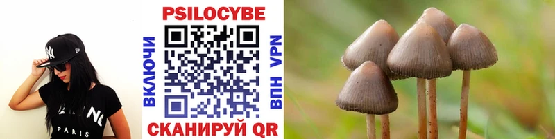 Галлюциногенные грибы мухоморы  наркотики  Шумерля 