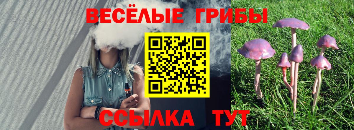 Шумерля  Галлюциногенные грибы Psilocybine cubensis  Вход с VPN 