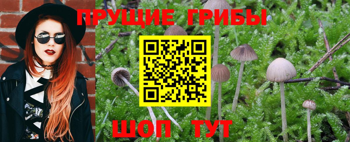 Галлюциногенные грибы MAGIC MUSHROOMS Шумерля